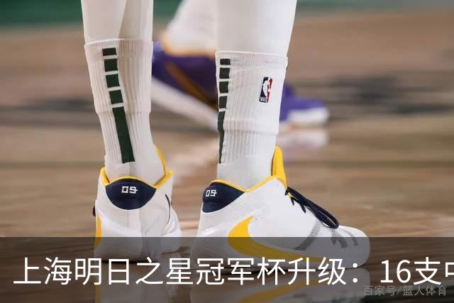 上海明日之星冠军杯升级：16支中外青少年球队开启男女足双线对决