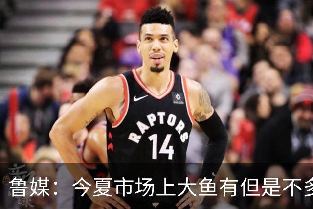 鲁媒：今夏市场上大鱼有但是不多 听说有南方球队会放出几个队员